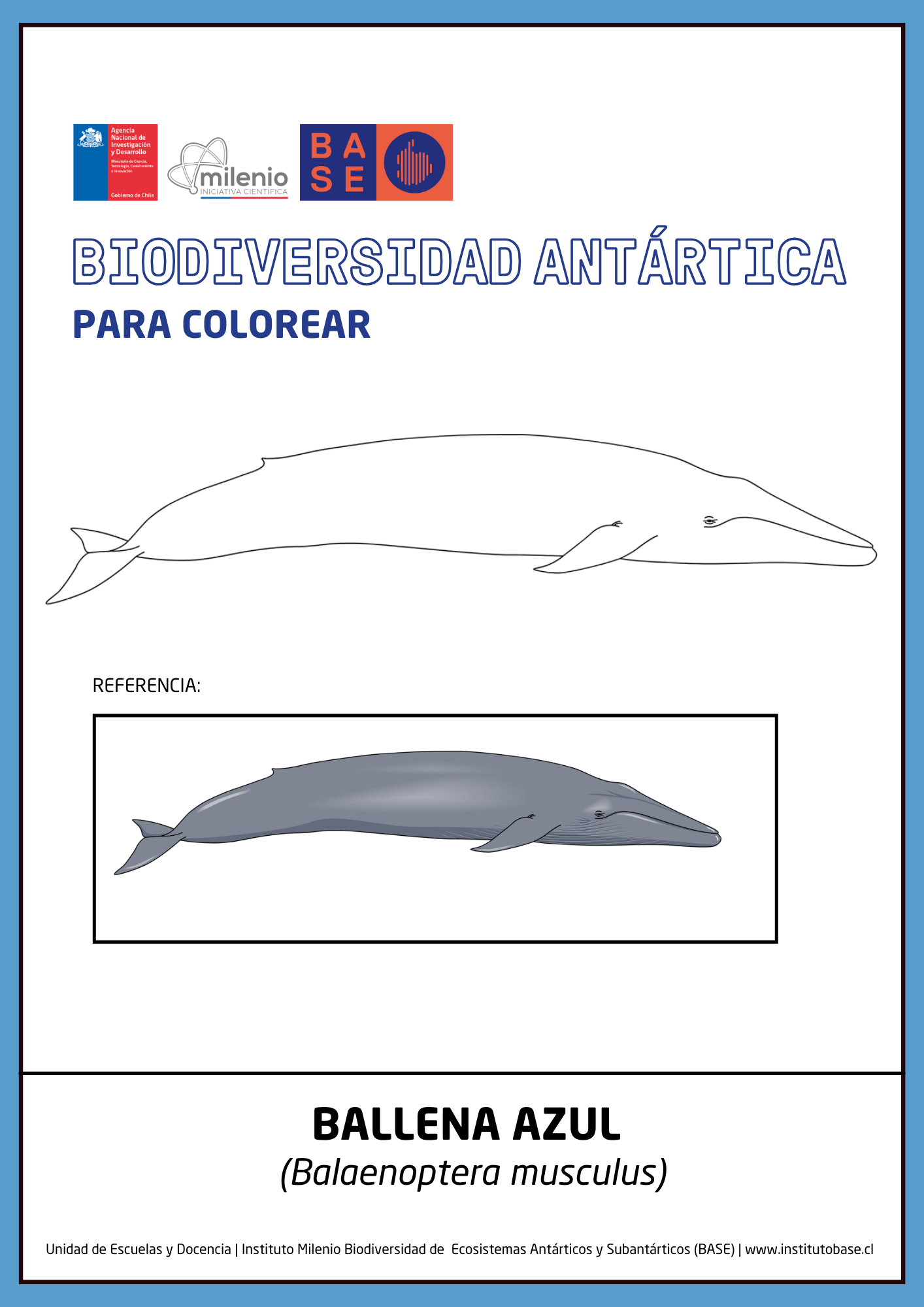 Ballena azul