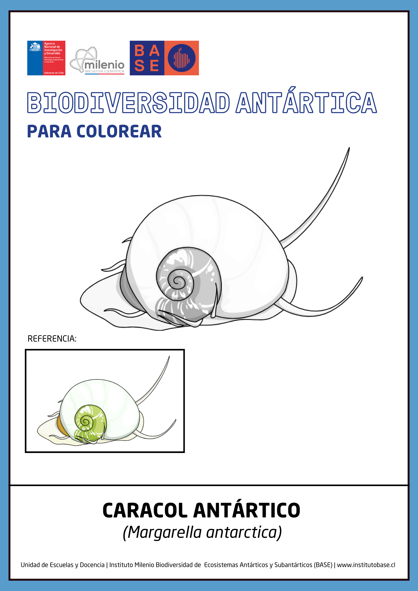 Caracol antártico