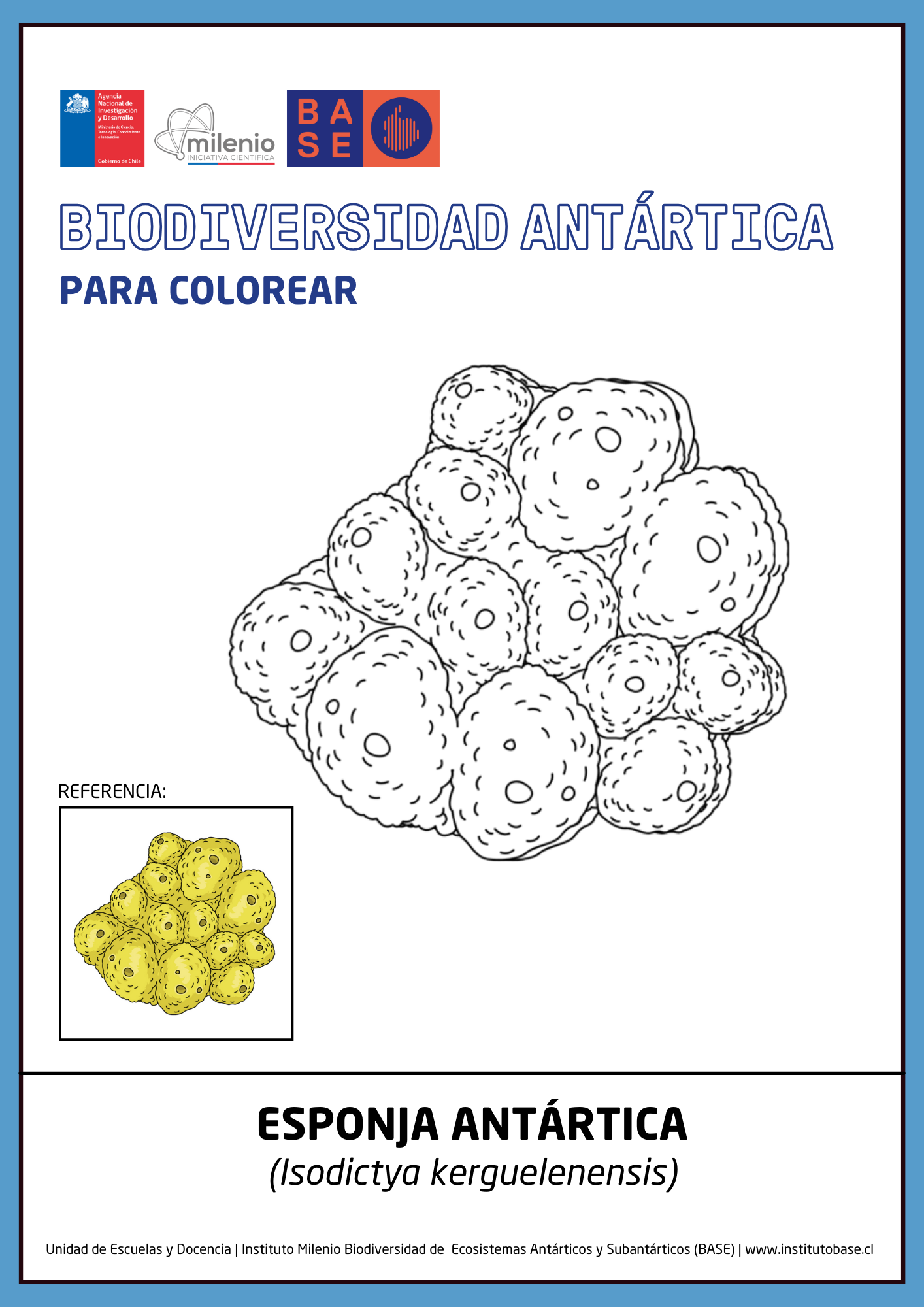 Esponja antártica