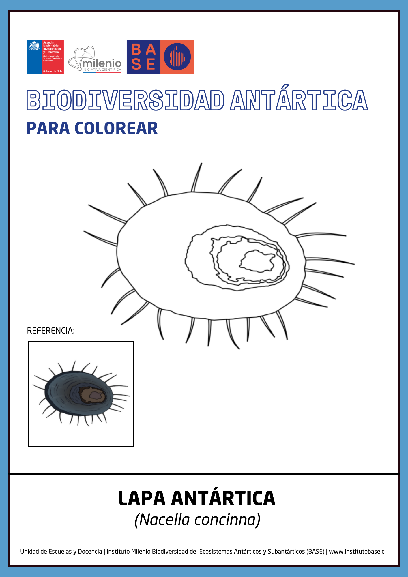 Lapa antártica