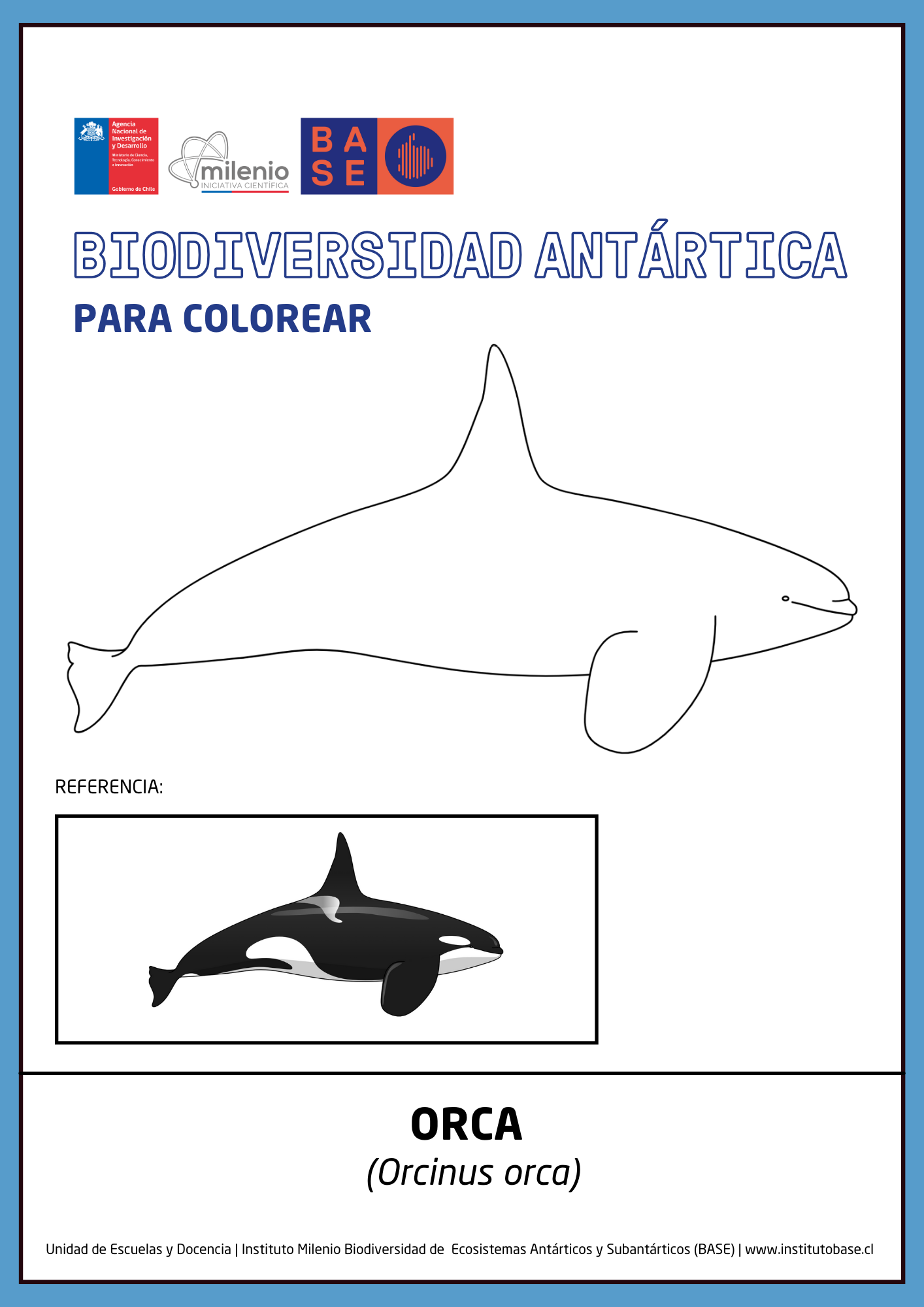 Orca