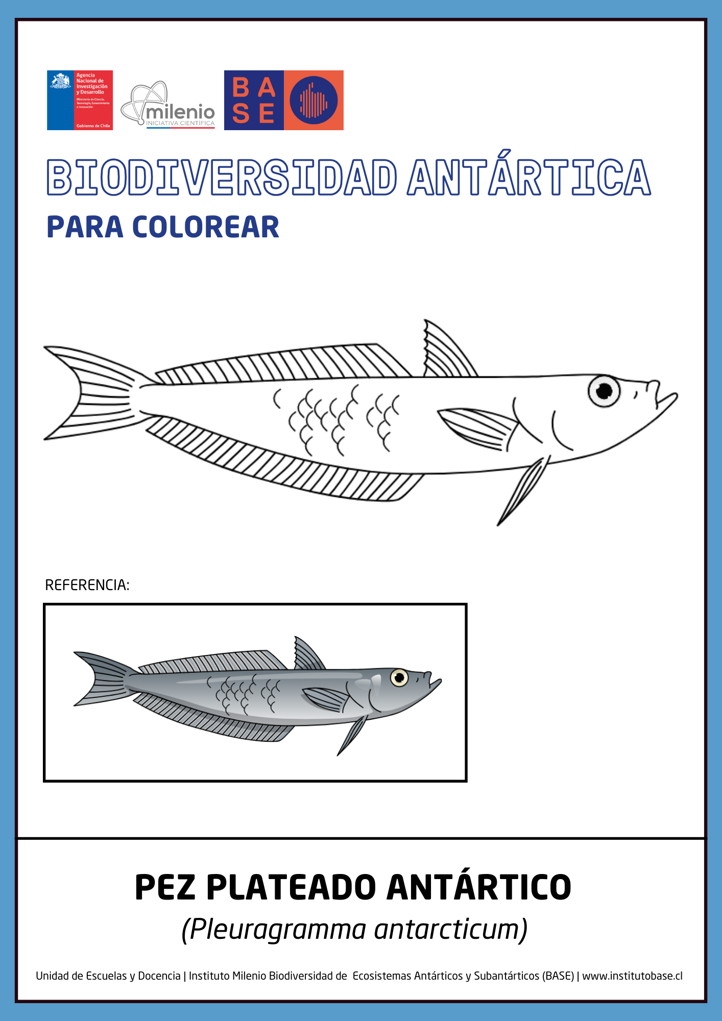 Pez plateado antártico