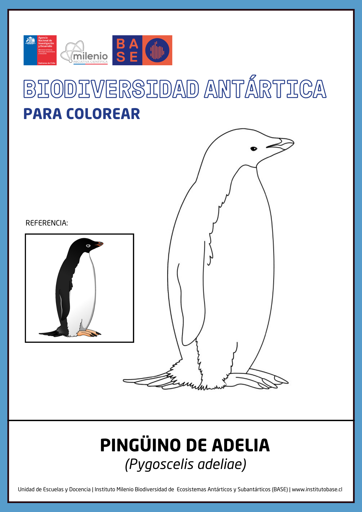 Pingüino de Adelia