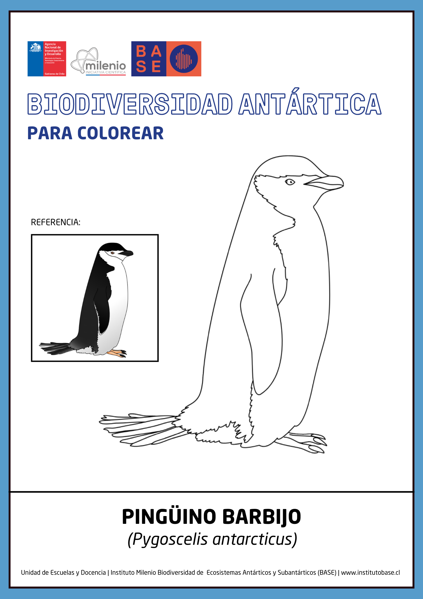 Pingüino barbijo