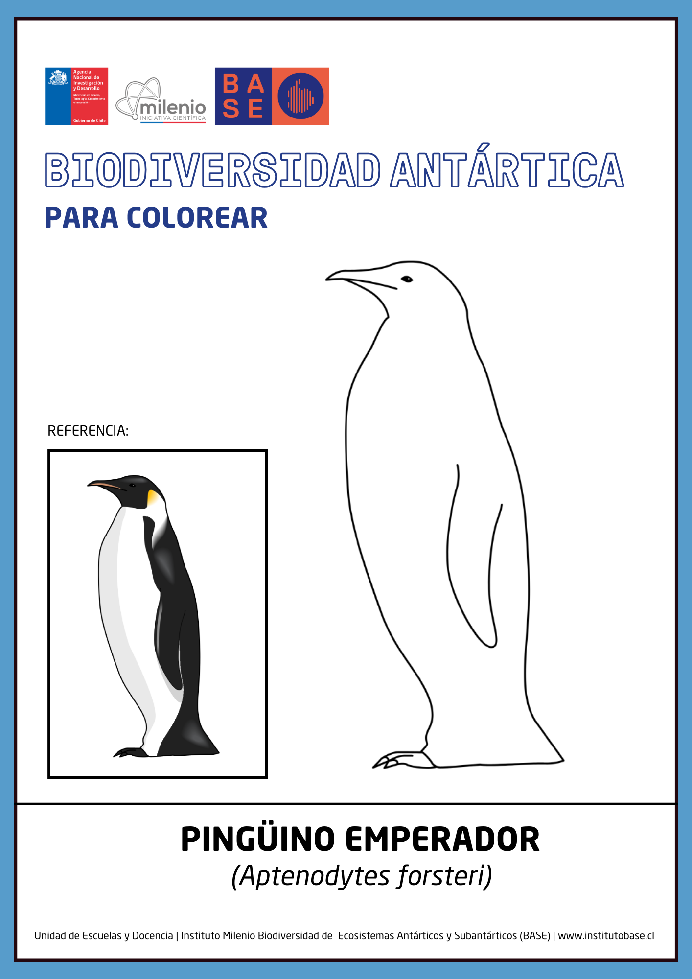 Pingüino emperador