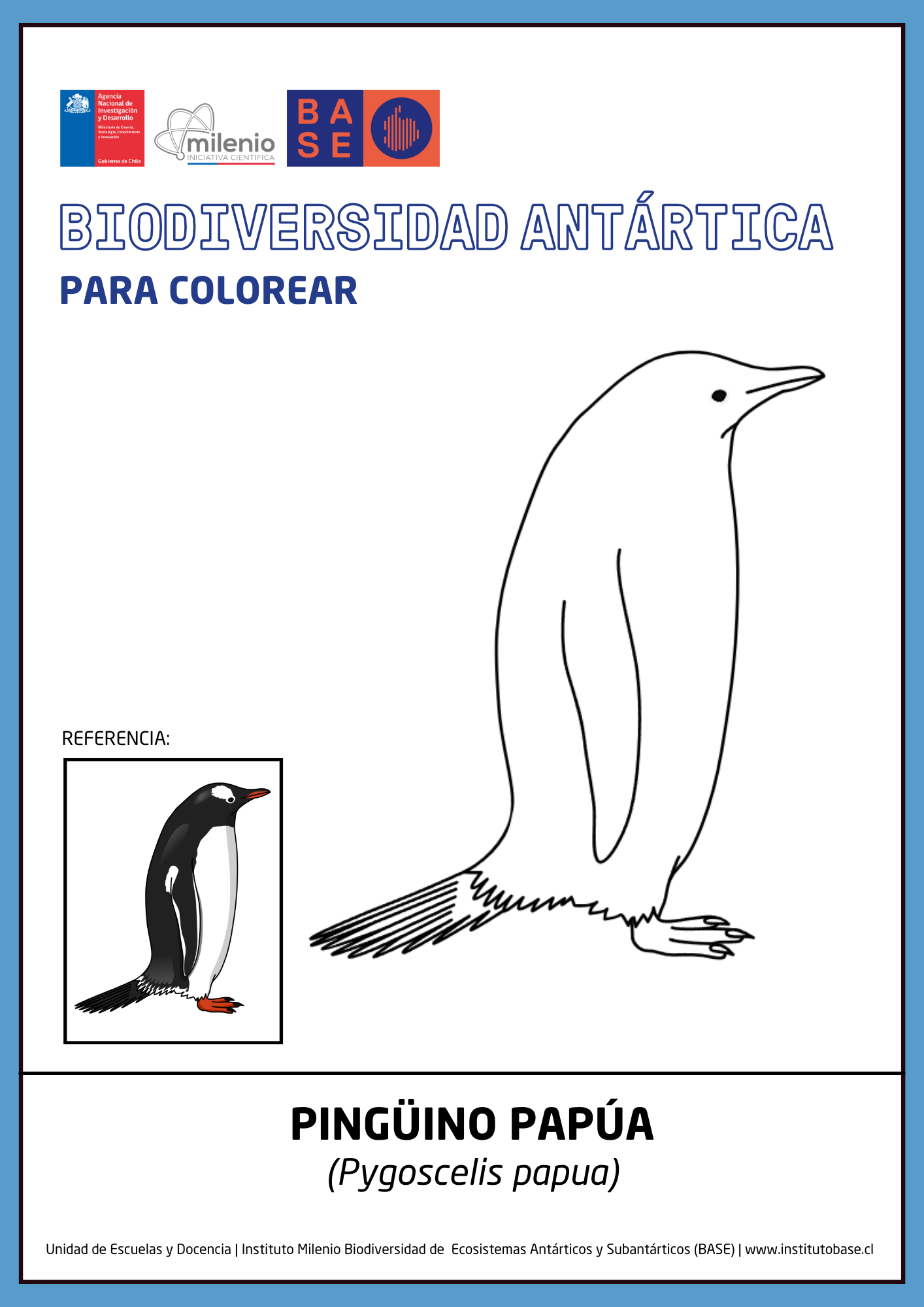 Pingüino papúa