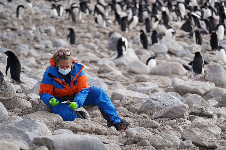What happens in Antarctica does not stay in Antarctica