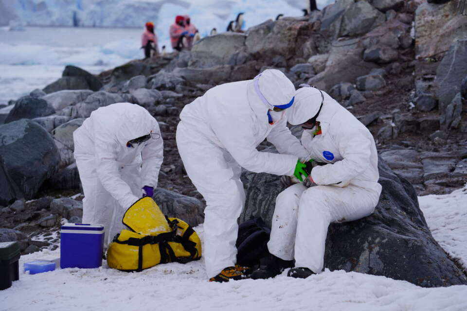 Scientific Expedition reaches deep Antarctica to strengthen Avian Influenza surveillance and monitoring
