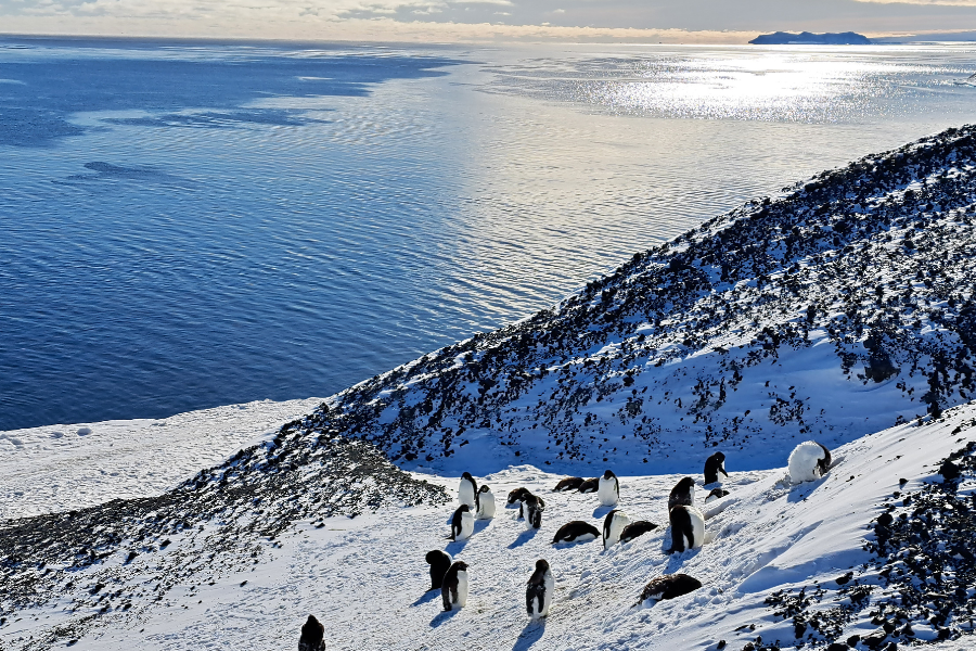 OPENING: Call for postdoctoral fellowships in environmental DNA, metabarcoding and metagenomics