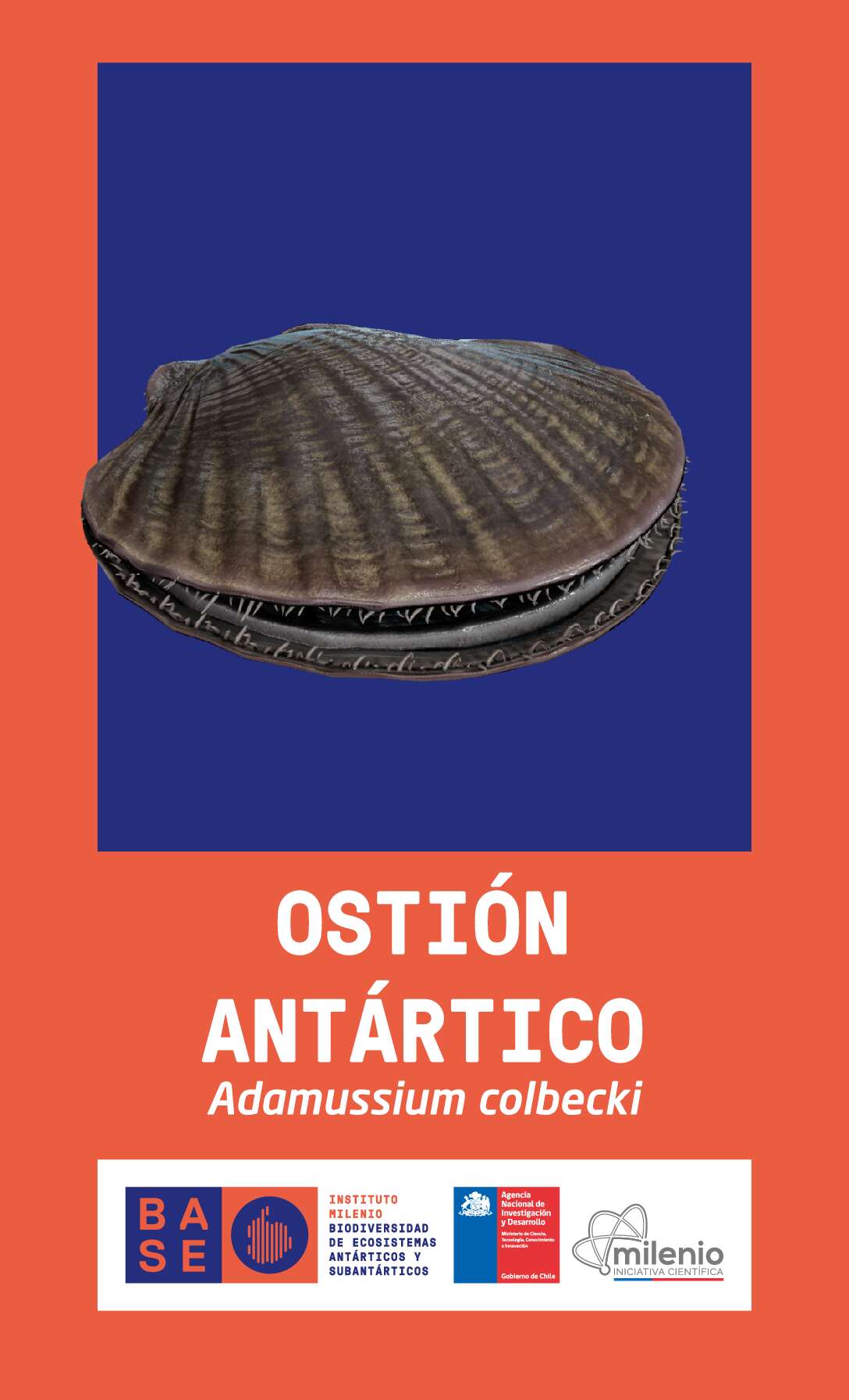 Ostión antártico