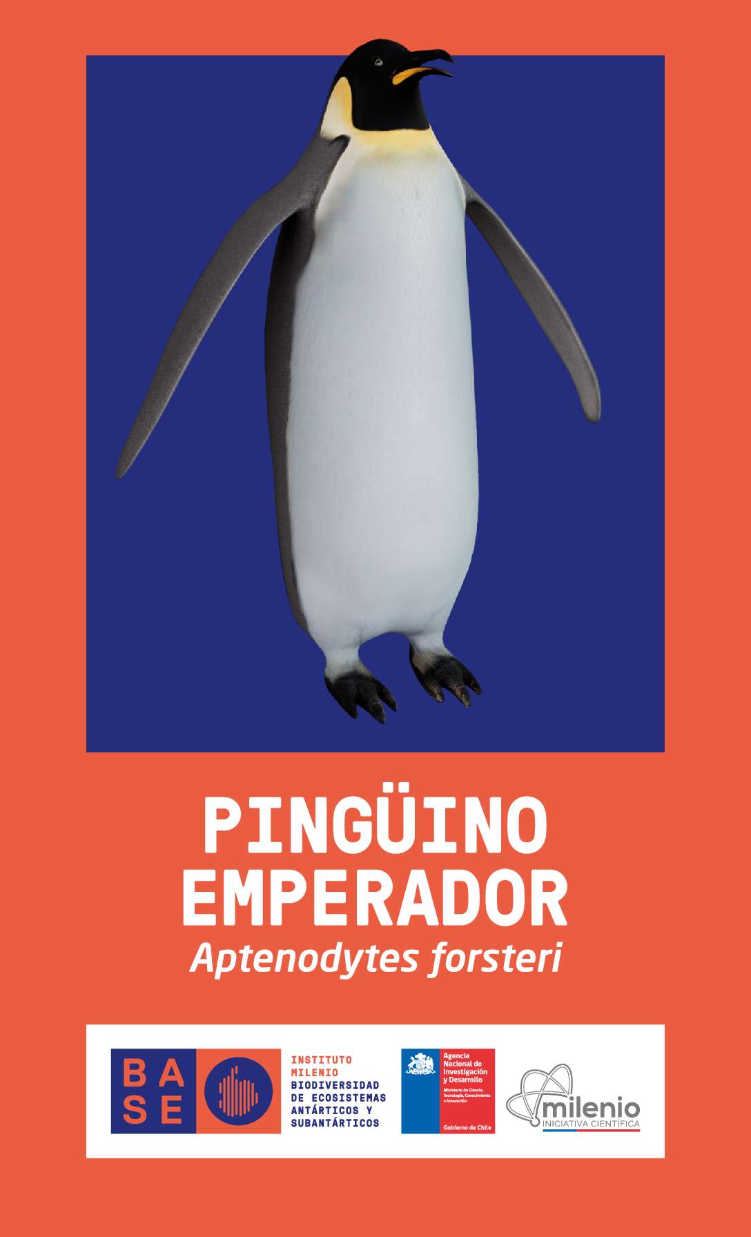 Pingüino emperador