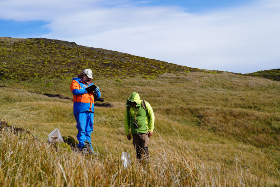 Científicos recorren Magallanes buscando plantas clave para entender el cambio climático