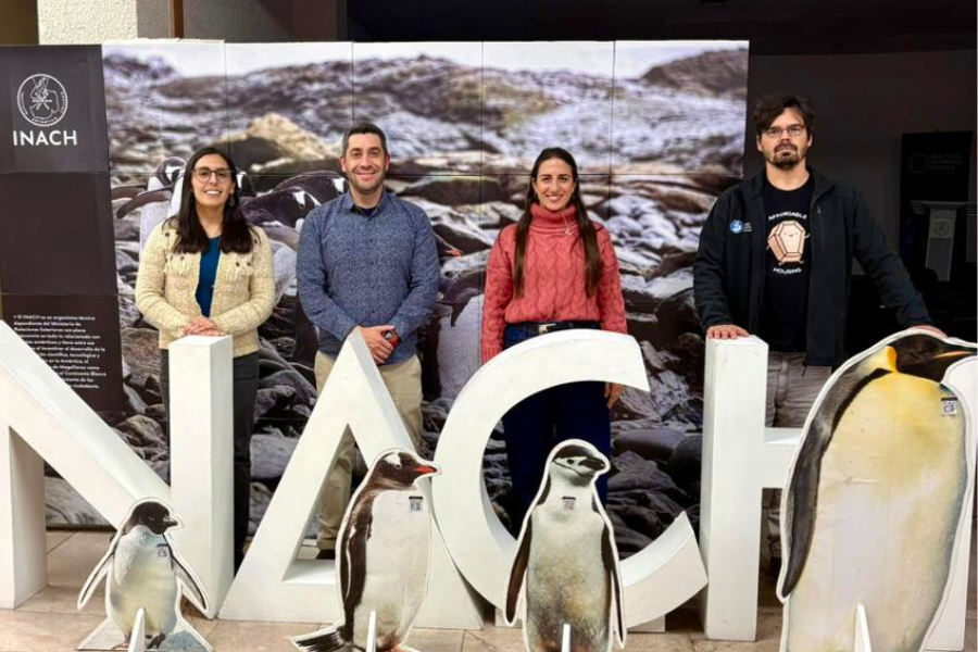 Desde Concepción y Punta Arenas: la ciencia antártica se articula en red