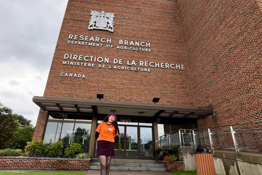 ¿Qué tienen en común las mariposas del Ártico y del extremo sur de Chile?: Estudiante busca respuestas en Canadá